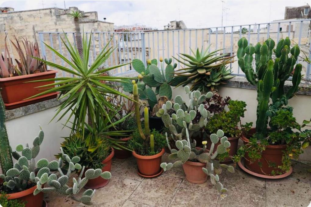Fior Di Loto Villa Lecce Buitenkant foto